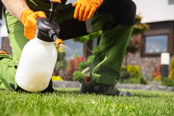 Flea Control Services in Yarrow Point, WA