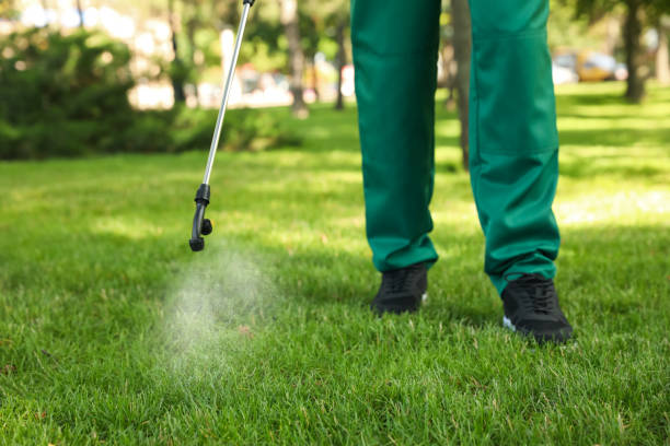 Best Rat Extermination Near Me  in Yarrow Point, WA