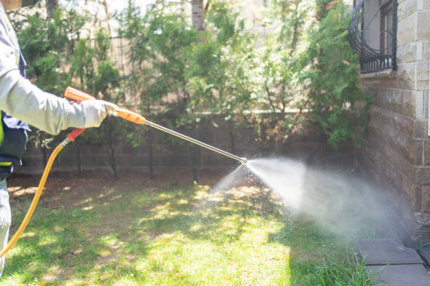 Best Pest Control Near Me  in Yarrow Point, WA