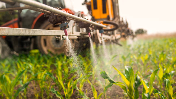 Wasp Removal Services in Yarrow Point, WA
