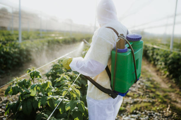 Best Emergency Pest Control  in Yarrow Point, WA